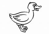 Duck Coloring Cartoon Pages Ducks Funny Printable Clipart Cute Gif Kids Drawing Clip Draw Cliparts Library Baby Labels Animal sketch template