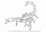 Scorpion Draw Emperor Drawing Scorpions Step Drawings Simple Drawingtutorials101 Animal Learn Tutorials Tattoos Getdrawings Tutorial sketch template