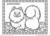 Coloring Pomeranian Pages Designlooter sketch template