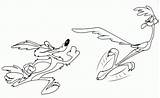 Coyote Chasing Wile sketch template