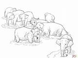 Lanka Coloring Elephants Elephant Pages Shri Printable Print Drawing Color Skip Main Dot Categories sketch template