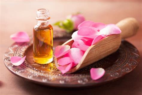 rose flower  essential oil spa  aromatherapy stock image image
