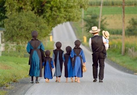 59 Best The Amish Way Images On Pinterest Amish Country Country Life
