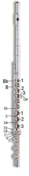parts   flute flute diagram flute diagram  wind instruments pinterest flute