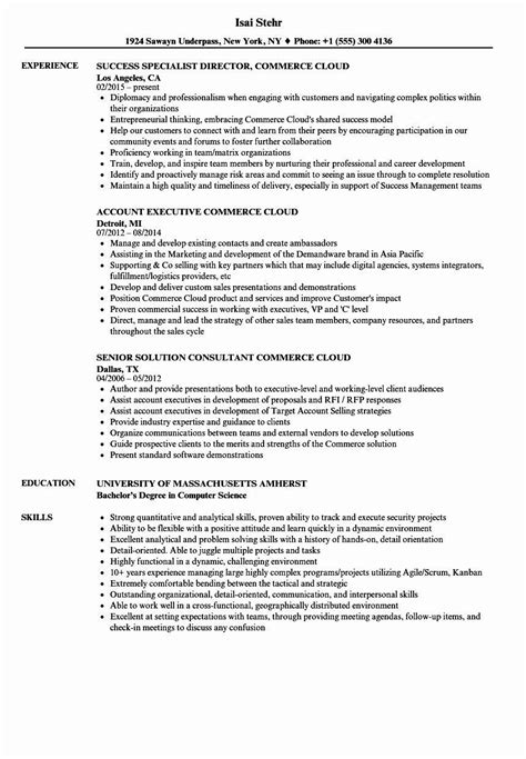 salesforce administrator resume sample resume template