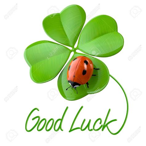 good luck  road  success tovoy solutions