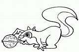 Squirrel Coloring Pages Animal Gif Squirrels sketch template
