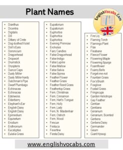 plant list plant names list english vocabs