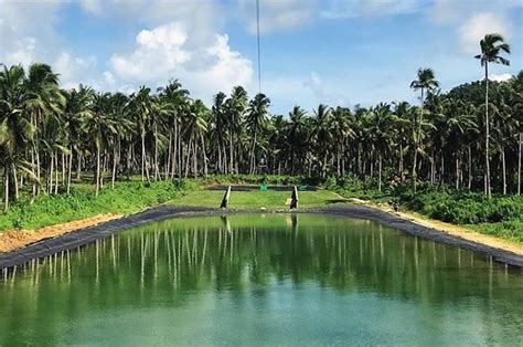 Wakepark Siargao Sweet Escape Holiday