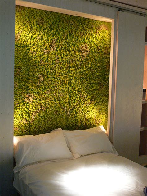 moss walls  interior design trend  turns  home