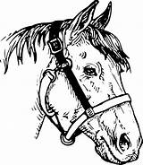 Clipart Horse Head Clip Horseshoe Drawing Bridle Transparent Svg Horses Getdrawings Tree Gif sketch template