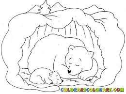 image result  animals  hibernate colouring pages animal coloring pages monster