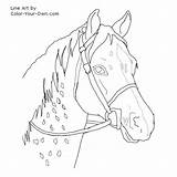 Coloring Horse Pages Appaloosa Pony Cross Horses Riding Drawing Color Patterns Printable Print Line Own Sawtooth Mountans Mano Embroidery Head sketch template