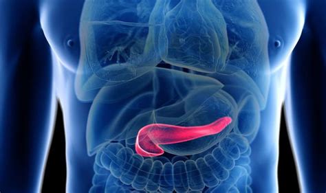 Pancreatic Cancer Symptoms Stomach Pain Could Signal The Deadly