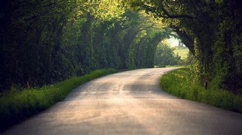 path nature blurred tunnel trees road wallpapers hd desktop