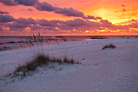 Orange Beach Sunset Orange Beach Alabama William Dark