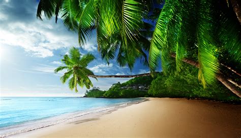 tropical paradise coast wallpapers hd desktop  mobile backgrounds