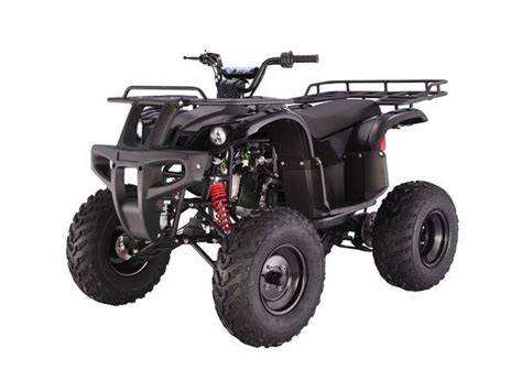 tao tao cc bull atv neweggcom