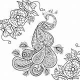 Coloring Pages Stress Peacock Zentangle Adult Anti Totem Vector Illustration Paisley Flowersfor Printable Doodle Therapy Sketch Drawing Style Flowers Tattoo sketch template