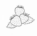 Coloring Strawberry Pages Vegetables Fruits Berries Grapes sketch template