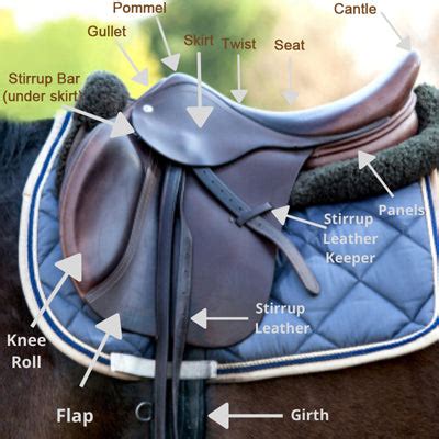 breechescoms guide   parts  functions   english saddles