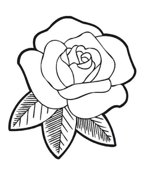rose flower coloring pages flower coloring page