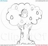 Pear Tree Partridge Clipart Coloring Outlined Pages Illustration Royalty Rf Toon Hit Coloringtop sketch template