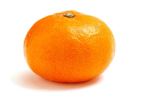 orange orange photo  fanpop