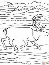 Elk Enfant Supercoloring sketch template