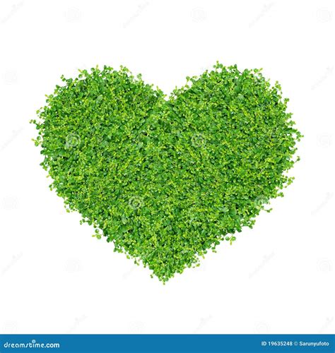 small green plants stock photo image  grow lively