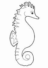 Caballito Seahorse Zeepaardje Kleurplaat Marino Cavalluccio Seepferdchen Malvorlage Caballitos Hippocampe Coloriage Kleurplaten Ausmalbilder Ausmalbild Seepferd Stampare sketch template