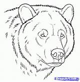Grizzly Animal Dragoart Wished Many Ve Searchlock sketch template