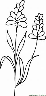 Coloring Flower Bunch Flowers Printable Children Pages sketch template