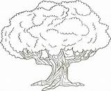Coloring Tree Pages Printable Trees Lorax Adult Source sketch template