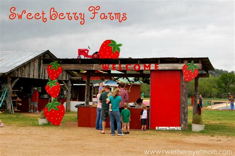 sweet berry farm marble falls texas     mom