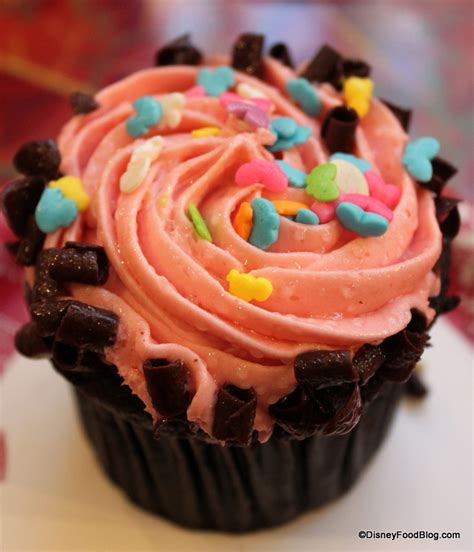 review chocolate raspberry cupcake  epcot  disney food blog