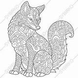 Coloring Pages Fox Animal Mandala Instant Adults Floral Flowers Pattern Print Book sketch template