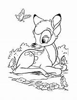Coloring Venado Venados Deer Habitats Bambi Walt Mykinglist sketch template