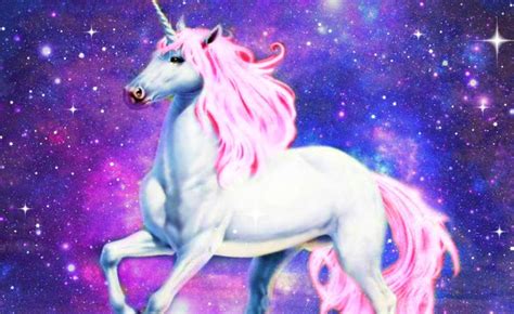 unicorn  orly atias ourboox