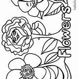 Anemone Coloring Getcolorings sketch template