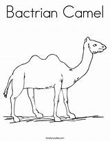 Coloring Camel Bactrian Desert Arabian Built California Usa sketch template