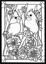 Cardinal Stained Dover Colorir Coloriage Mosaico Cardinals Adults Blackline Mandala Dxf Eps sketch template