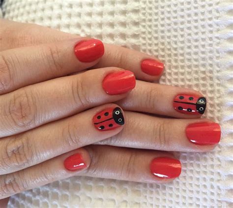 ladybug nail animal nail designs animal nail art cute nail designs