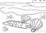 Seashell Coloring Pages Cool2bkids sketch template