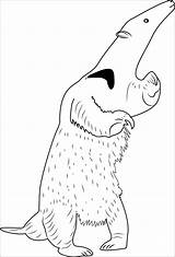 Anteater Coloring Standing Pages Coloringbay sketch template