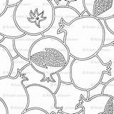 Spoonflower Outlines Pomegranate Coloring Back sketch template