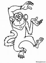 Kleurplaten Kleurplaat Apen Dieren Aap Affen Affe Malvorlage Topkleurplaat Mewarnai Malvorlagen Monkeys Monyet Ausmalbild Coloriages Aapje Animasi Monkey Singes Dansende sketch template