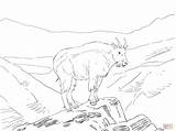 Goat Mountain Coloring Pages America Skip Main Printable Drawing sketch template