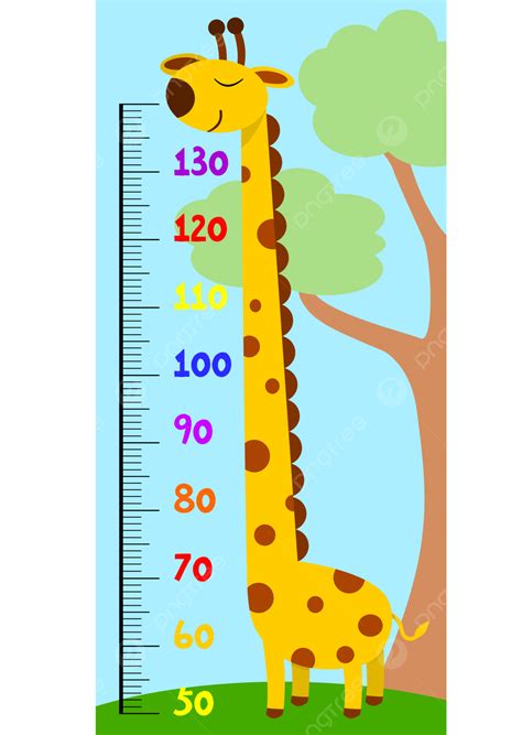 height ruler vector art png height chart ruler giraffe height chart ruler animal png image