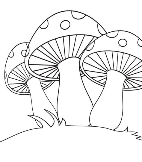coloring pages  fungi fungi coloring worksheet homeschooldressage